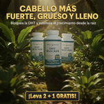 DHT BLOCKER 🌀 | ¡3x2 Por tiempo limitado!  ⏰